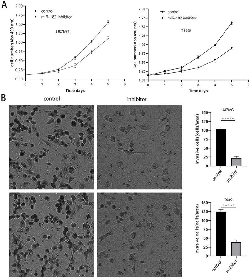 J Cancer Image