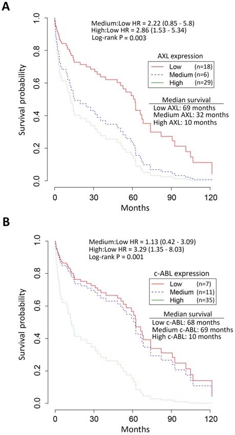 J Cancer Image