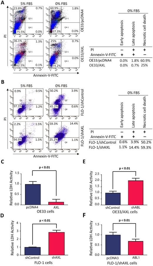 J Cancer Image