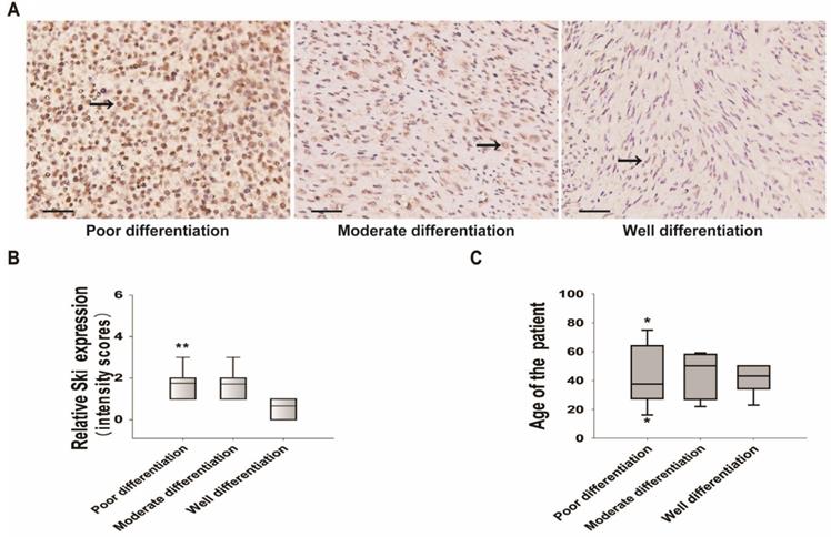 J Cancer Image