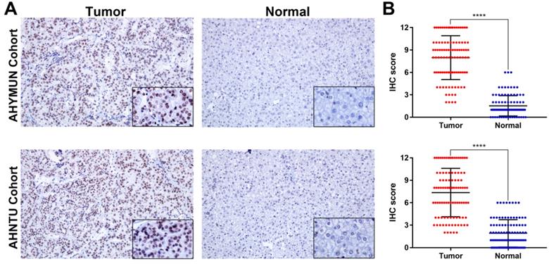 J Cancer Image