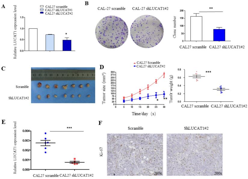 J Cancer Image