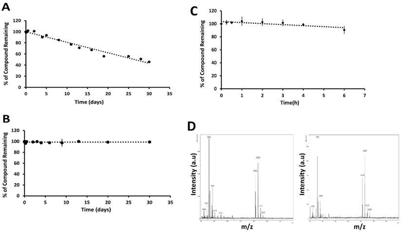 J Cancer Image