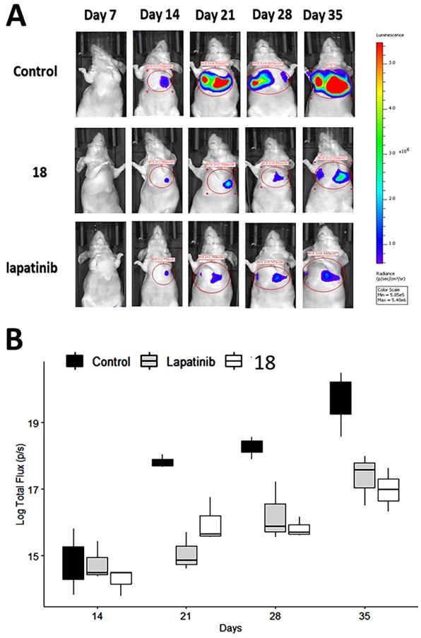 J Cancer Image