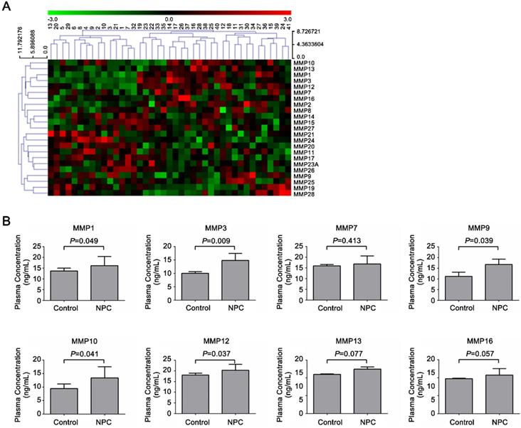 J Cancer Image