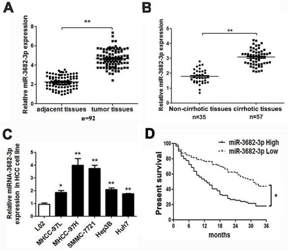 J Cancer Image