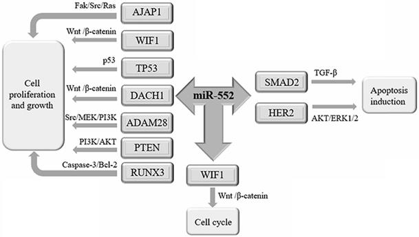 J Cancer Image