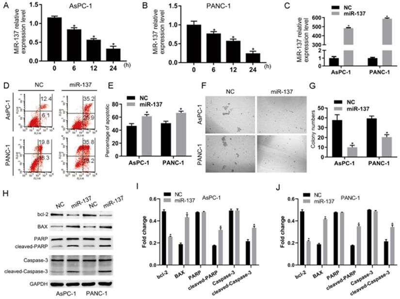 J Cancer Image