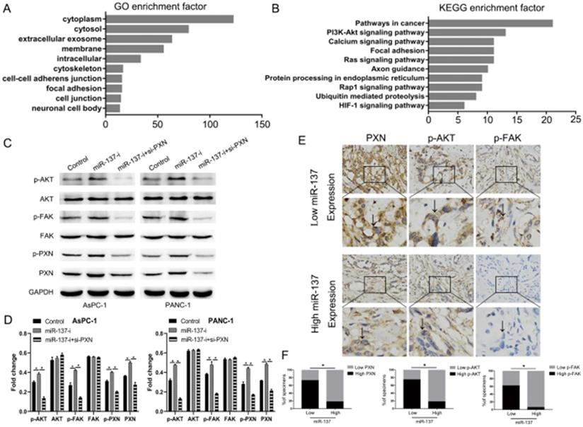 J Cancer Image