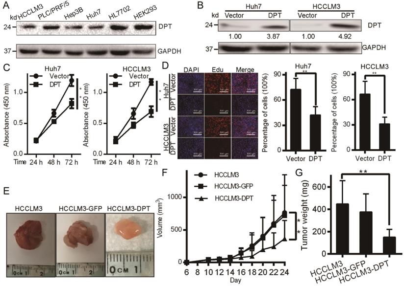 J Cancer Image