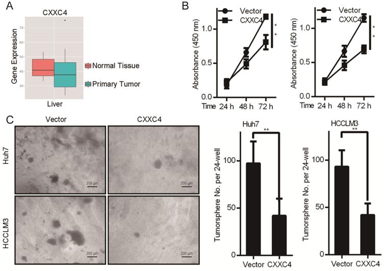 J Cancer Image