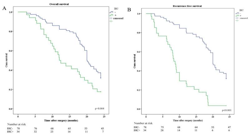 J Cancer Image