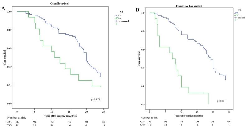 J Cancer Image