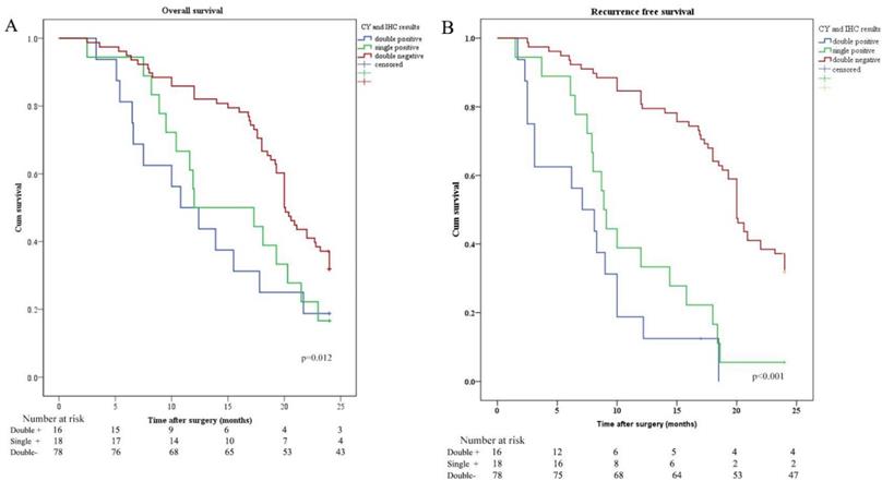 J Cancer Image