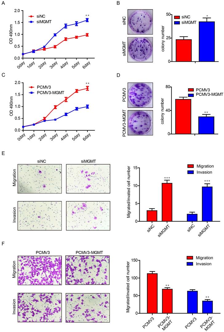 J Cancer Image