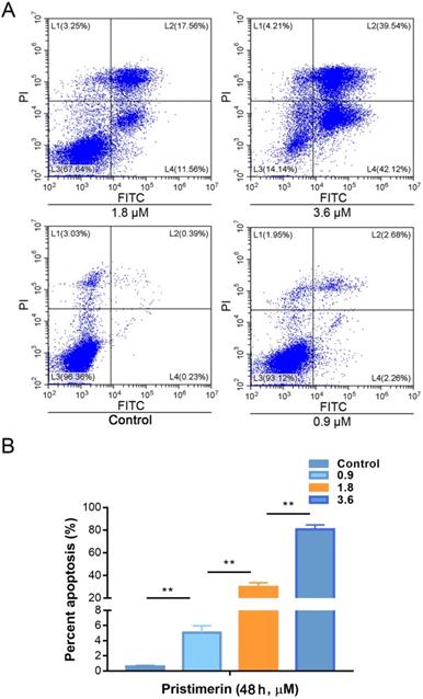 J Cancer Image