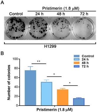 J Cancer Image