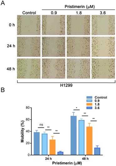 J Cancer Image