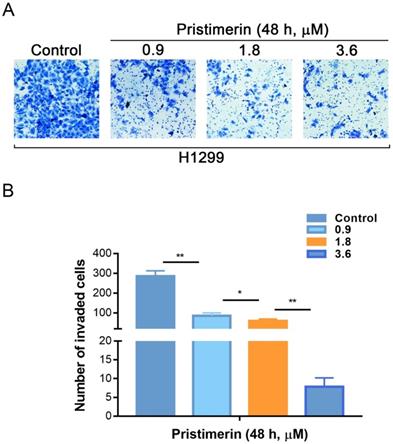 J Cancer Image