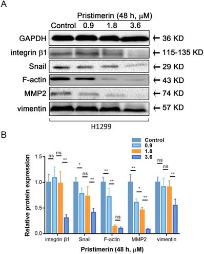 J Cancer Image