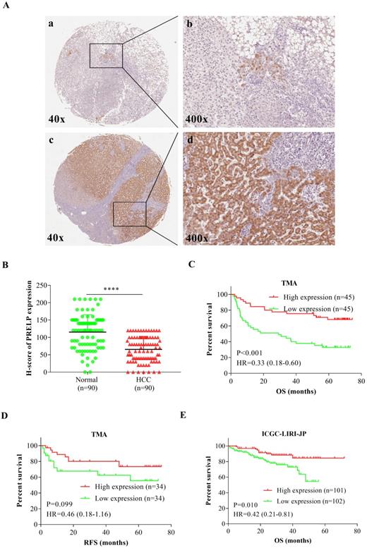 J Cancer Image