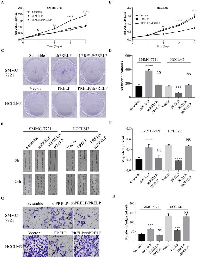 J Cancer Image