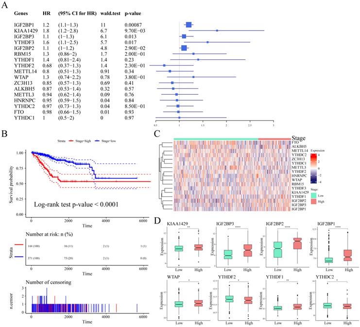 J Cancer Image