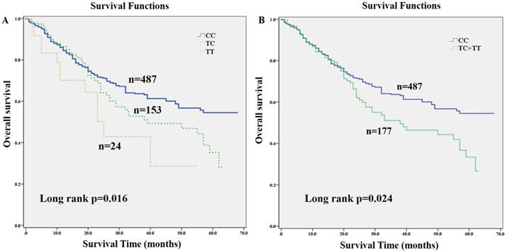 J Cancer Image