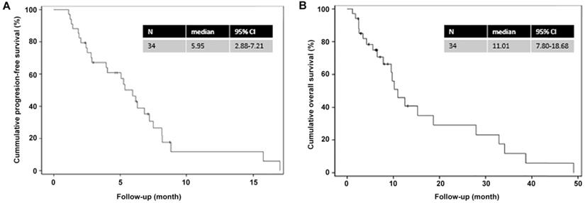 J Cancer Image