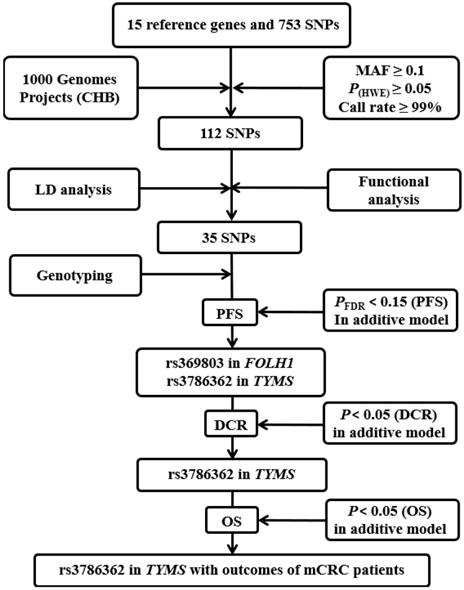 J Cancer Image