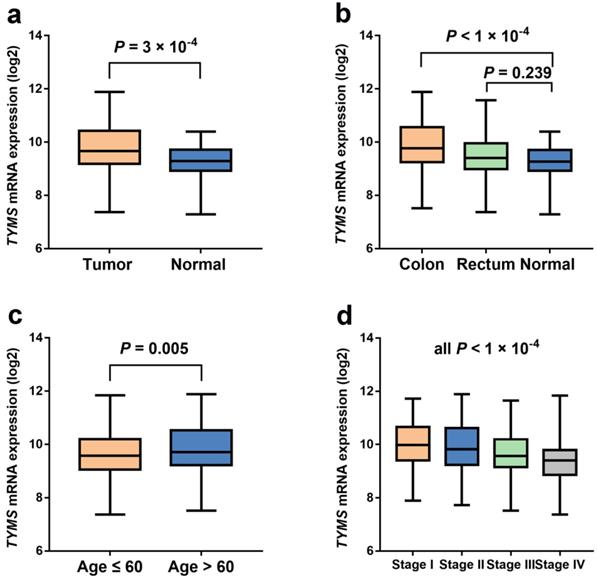 J Cancer Image