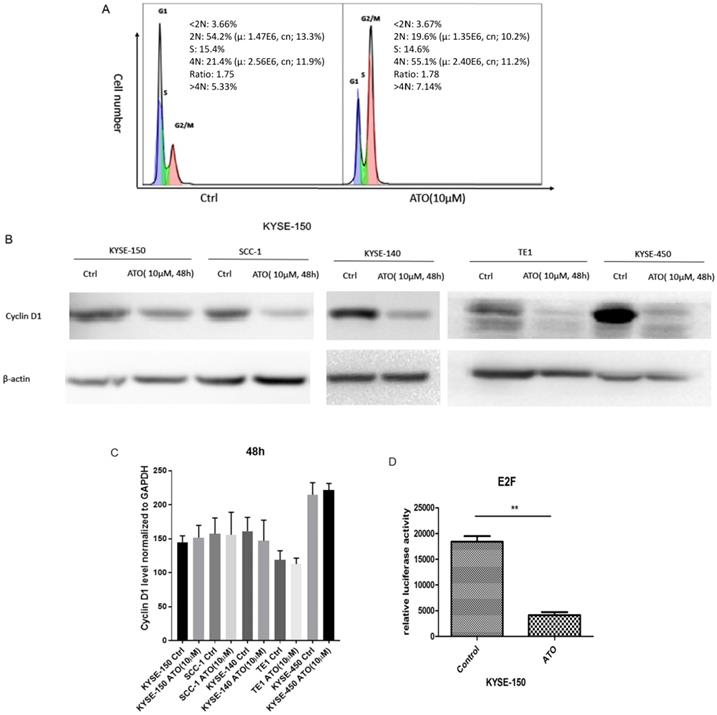 J Cancer Image