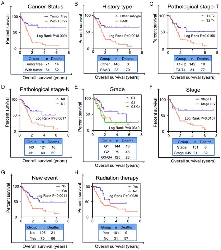 J Cancer Image