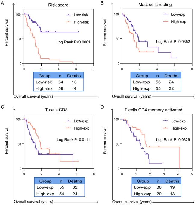 J Cancer Image