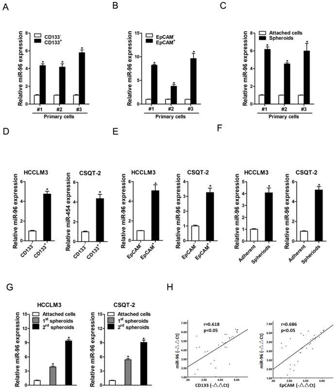 J Cancer Image