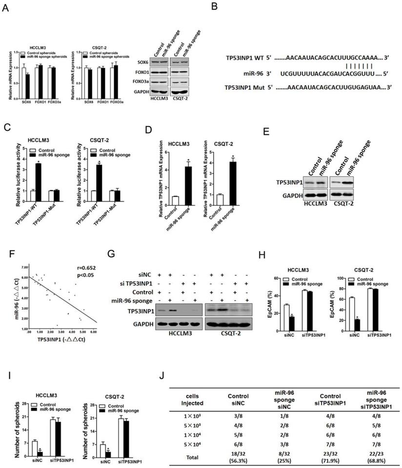 J Cancer Image