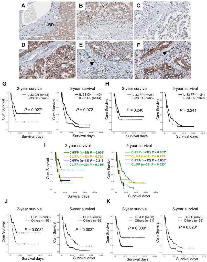 J Cancer Image