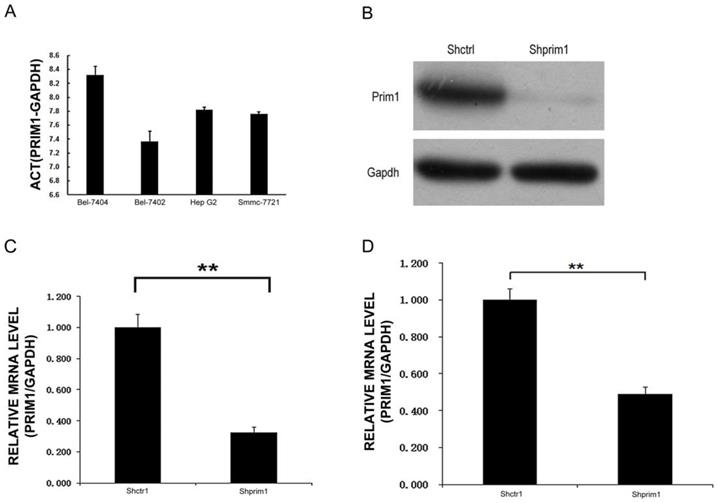 J Cancer Image