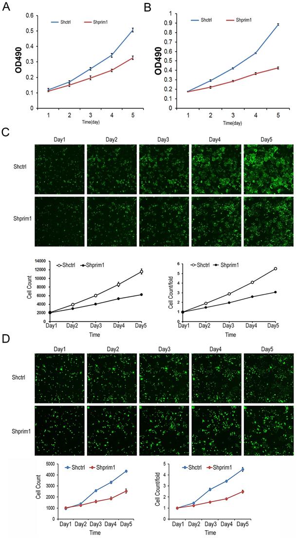 J Cancer Image