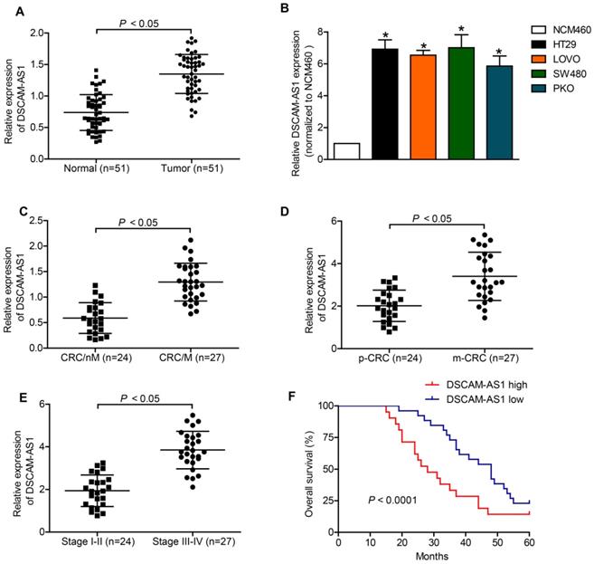 J Cancer Image