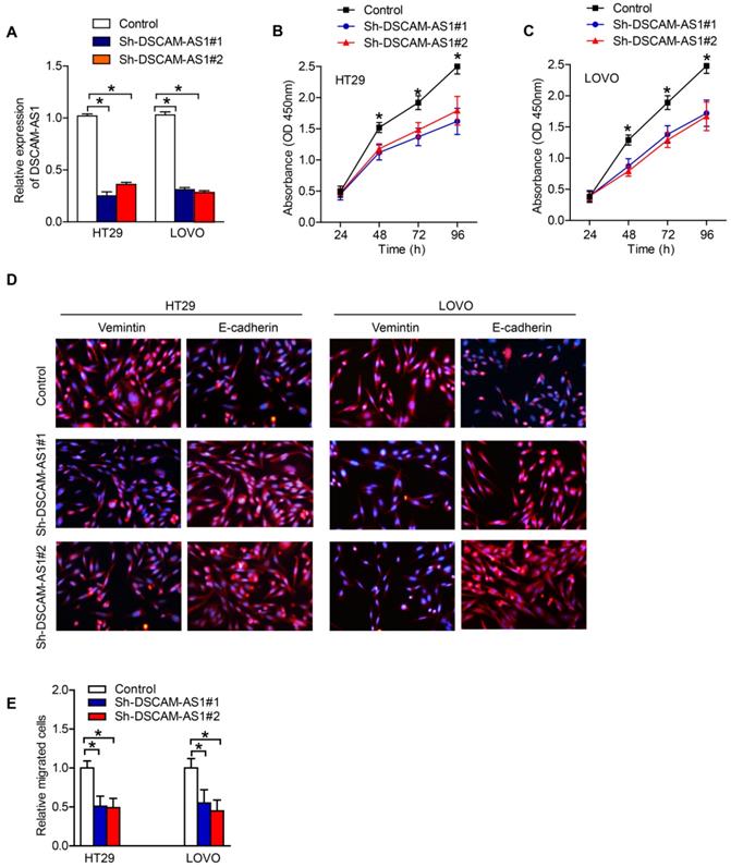 J Cancer Image