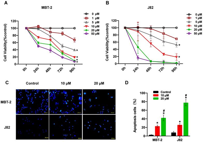 J Cancer Image