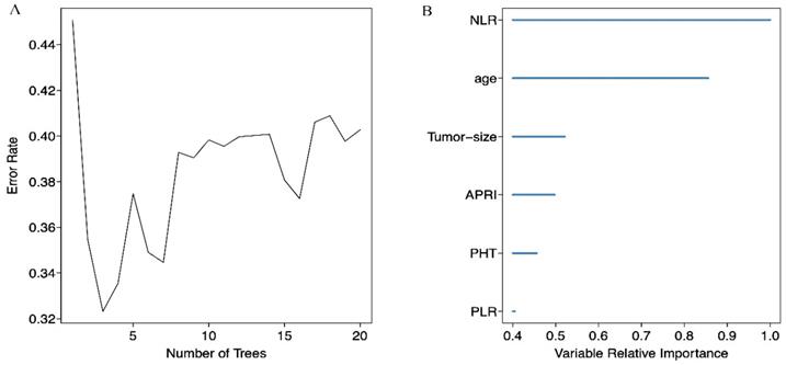 J Cancer Image