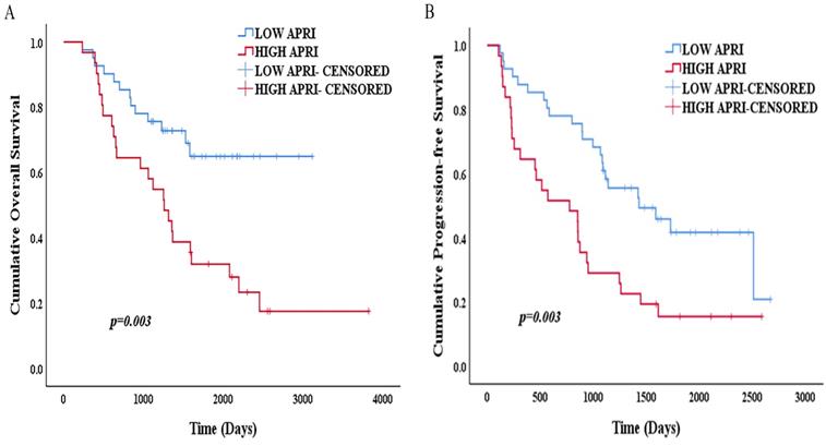 J Cancer Image