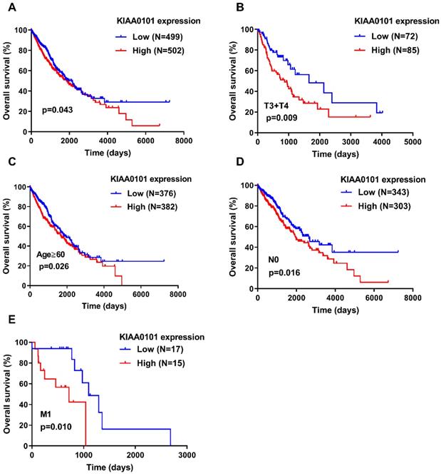 J Cancer Image