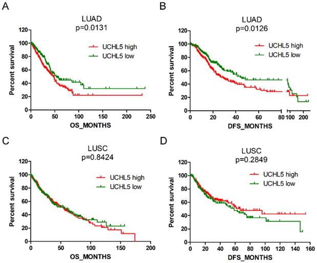 J Cancer Image