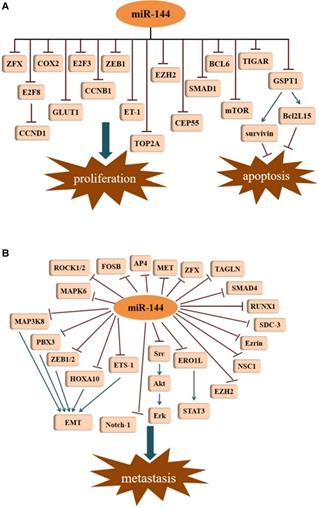 J Cancer Image