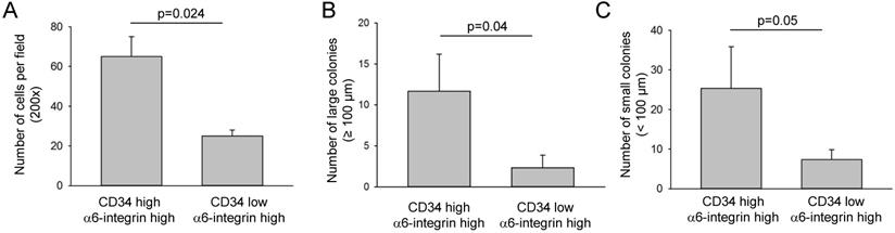 J Cancer Image