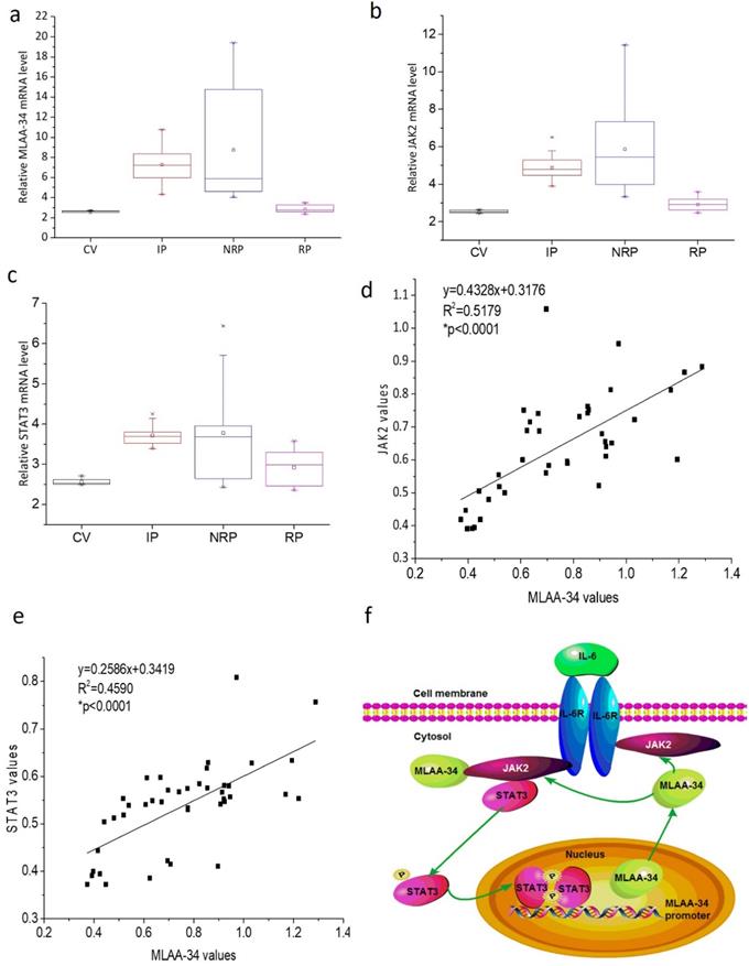 J Cancer Image