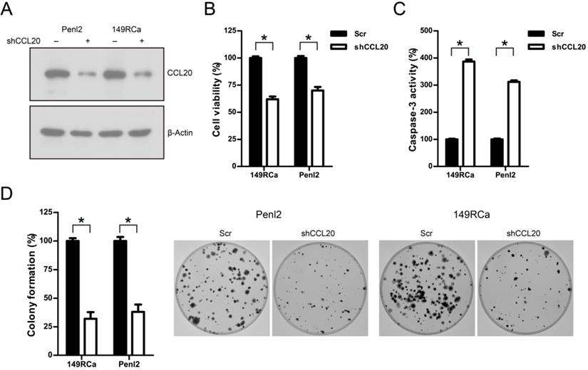 J Cancer Image